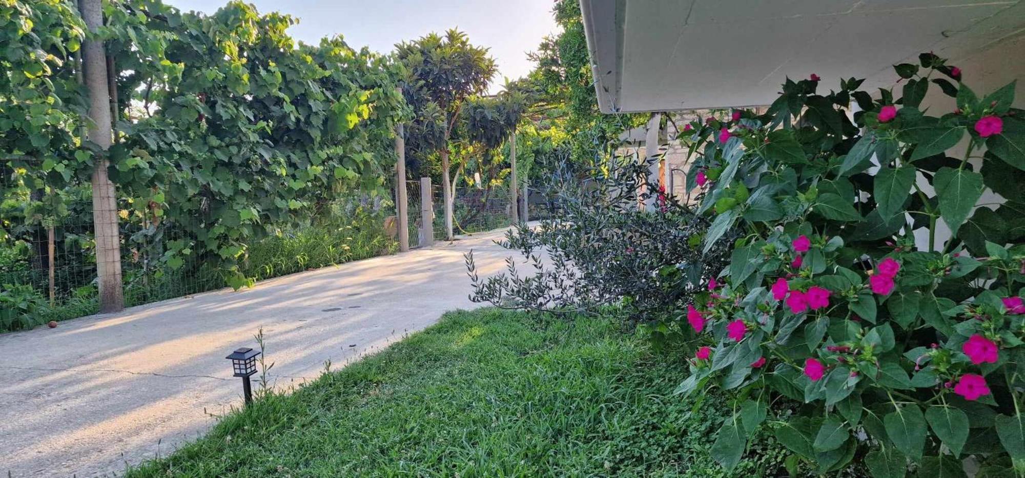 Appartement Filippos